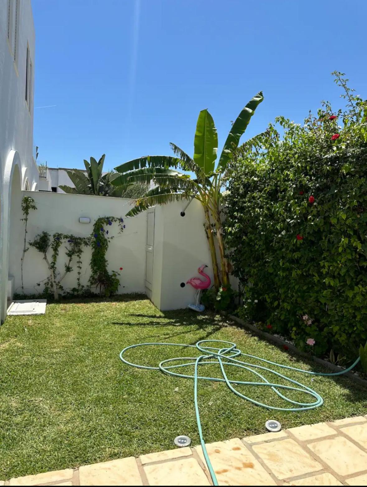 Estivale * Hammamet